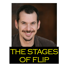 The Stages of Flip